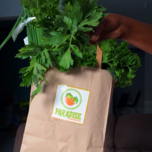 Fresh Seasoning Bundle