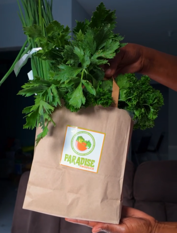 Fresh Seasoning Bundle